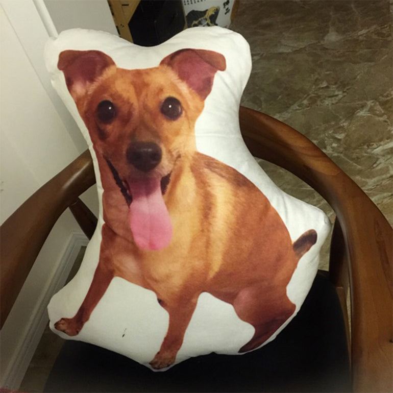 Personalized Pet Photo Pillow