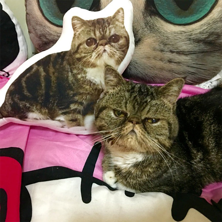 Personalized Pet Photo Pillow