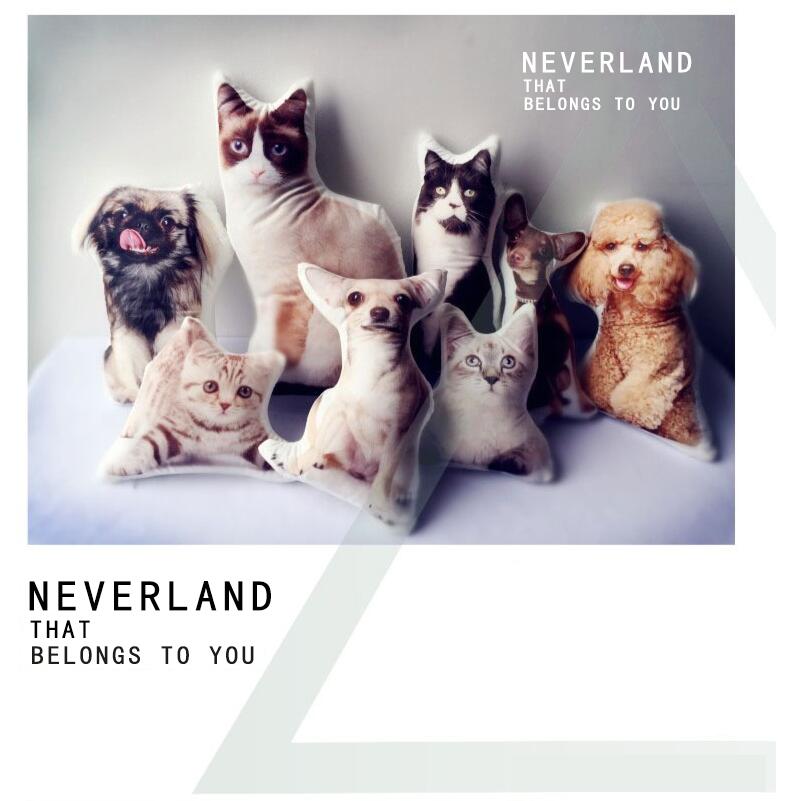 Personalized Pet Photo Pillow