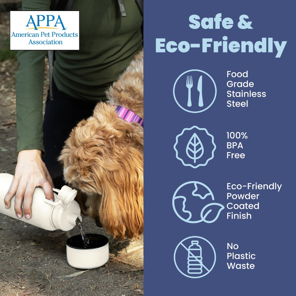 Shared Dog & Human Water Bottle with Bowl