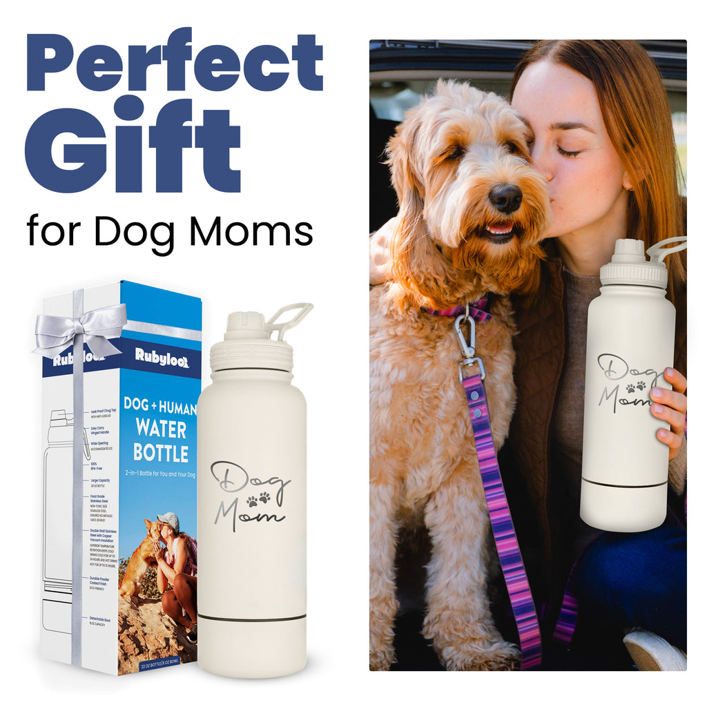 Shared Dog & Human Water Bottle with Bowl